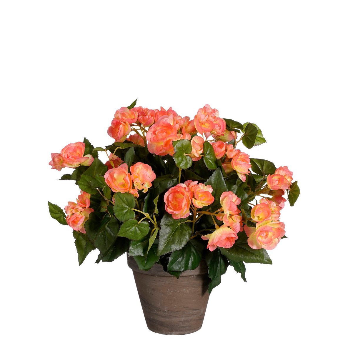 Glimmerdekorationen – Künstliche Begonienpflanze im Blumentopf Stan – H37 x Ø36 cm – Lachsrosa