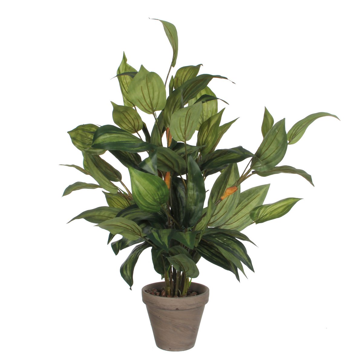 Glimmerdekorationen – Künstliche Hosta-Pflanze im Blumentopf Stan – H65 x Ø40 cm – Grün