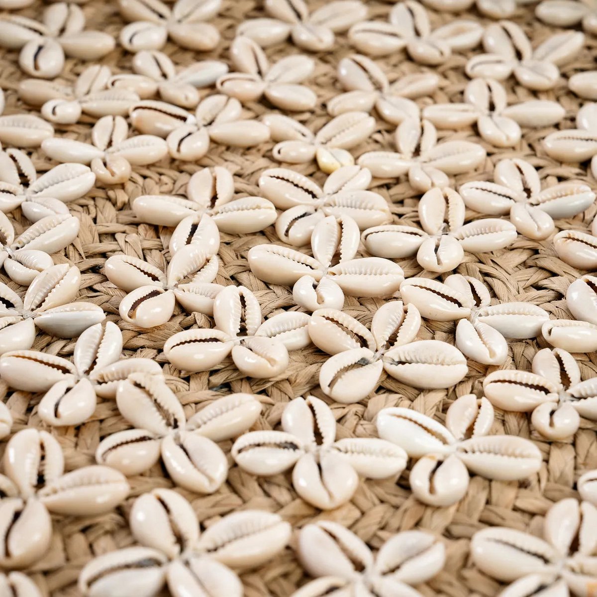 Bazar Bizar - Plaat 'Costa Shell' (Naturel Wit, M)