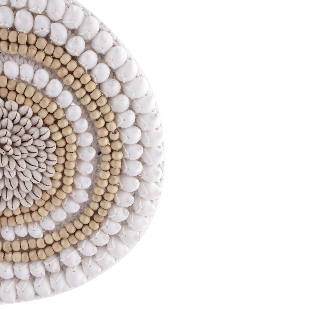 Pole to Pole – Kreisförmige Muschelkette