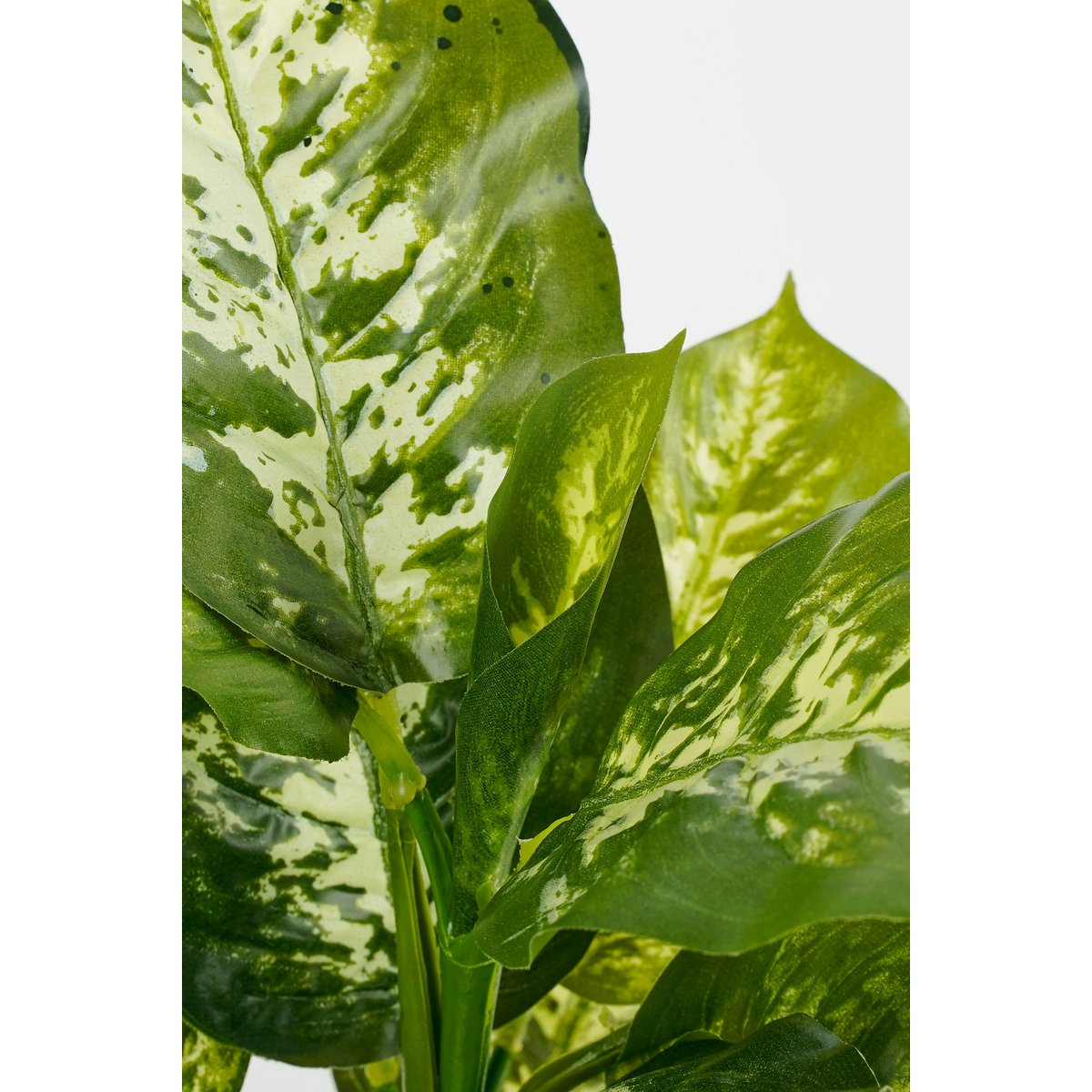 Glimmerdekorationen – Dieffenbachia Kunstpflanze im Blumentopf Stan – H40 x Ø30 cm – Grün