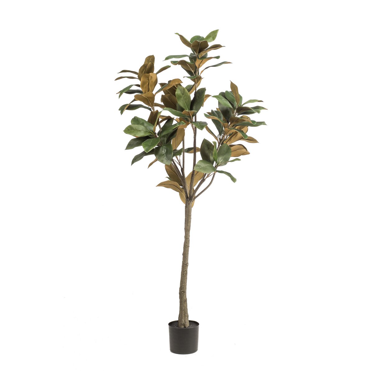 Green boutiQ - Kunstplant - Magnolia Grandiflora - 150 cm