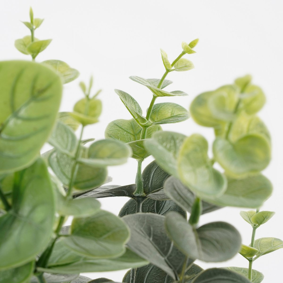 Mica Decorations - Eucalyptus Kunstplant in Bloempot - H53 x Ø23 cm - Groen