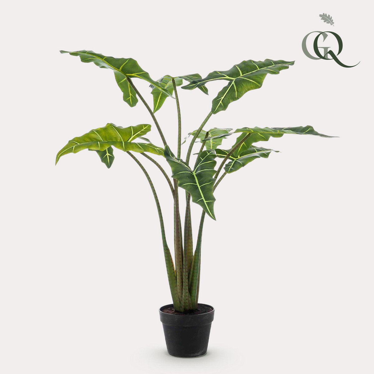 Green BoutiQ - Kunstplant - Alocasia Frydek - Olifantsoor - 120 cm