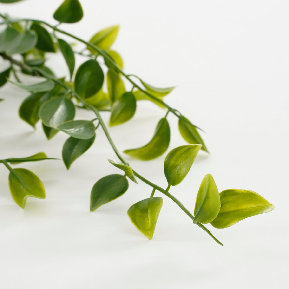 Mica Decorations - Ficus Kunst Hangplant - H81 cm - Groen