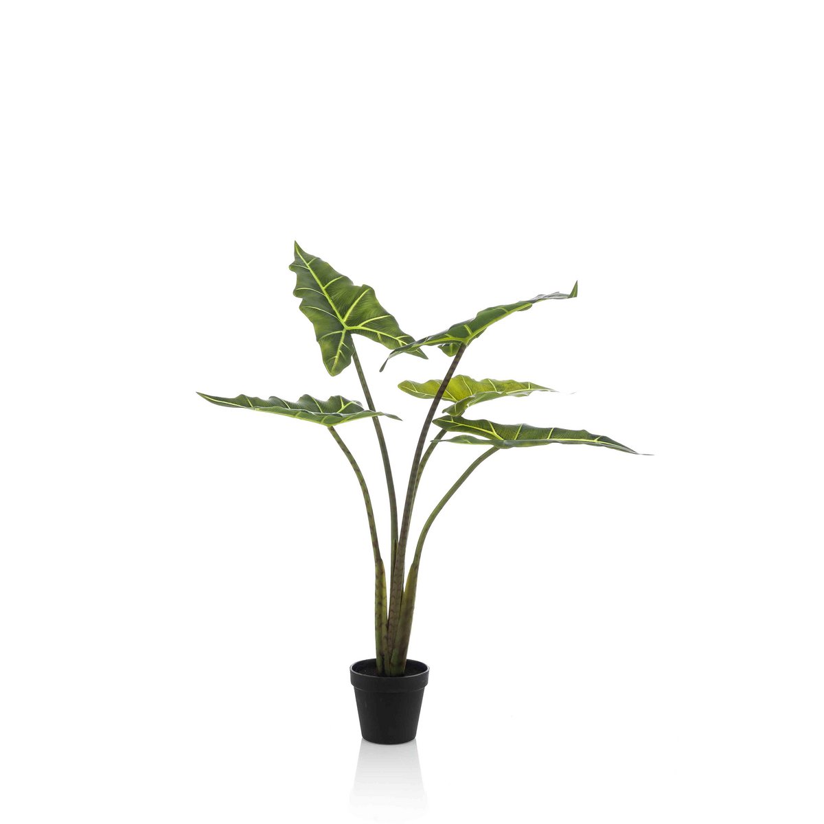 Green BoutiQ - Kunstplant - Alocasia Frydek - Olifantsoor - 80 cm