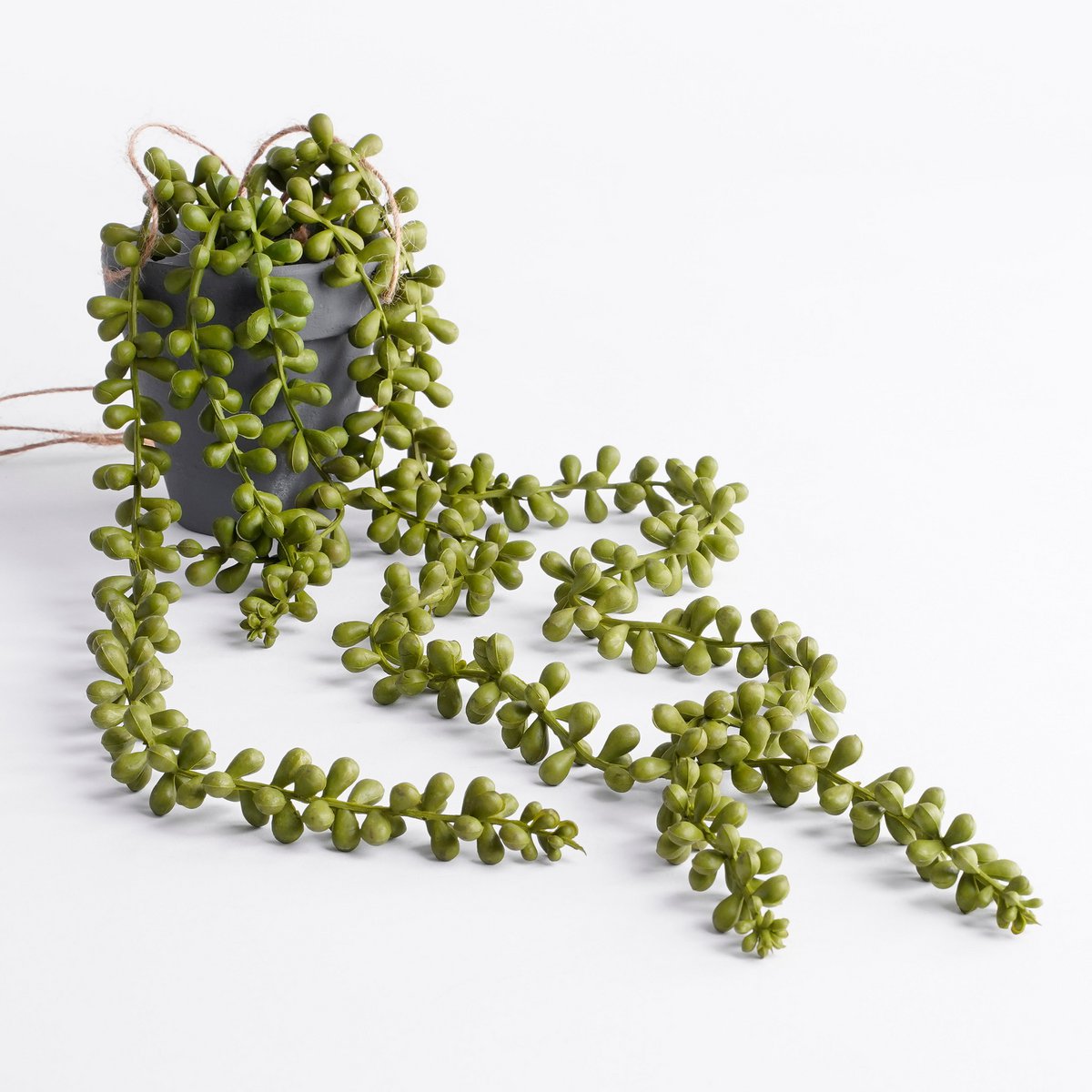 Glimmerdekorationen – Künstliche Hängepflanze Senecio – H56 x Ø9 cm – Grün