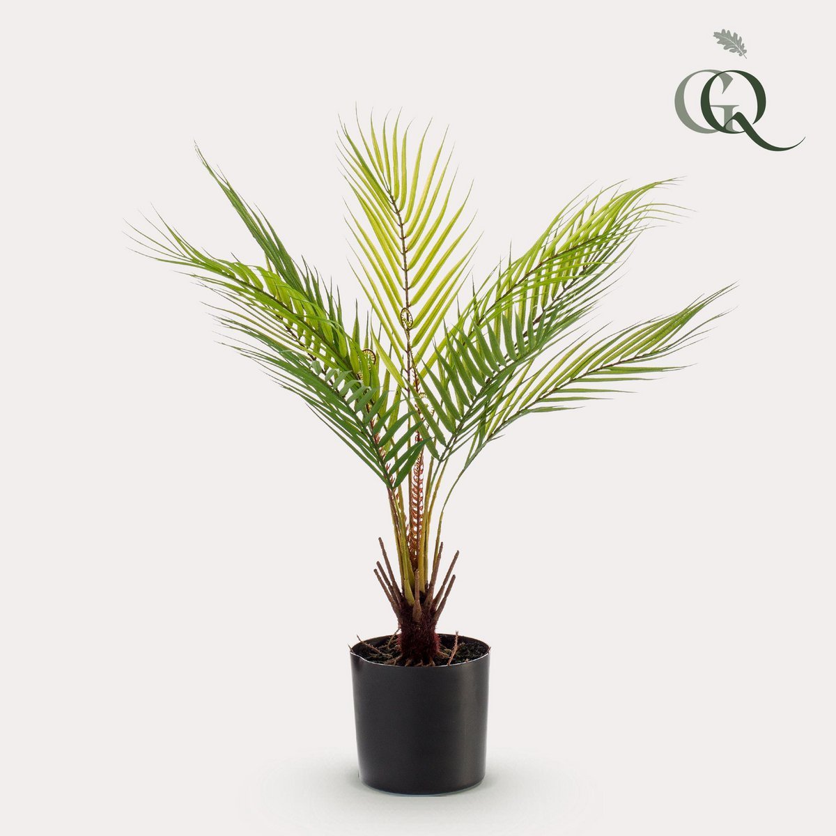 Green BoutiQ - Kunstplant - Chamaedorea - Bergpalm - 50 cm