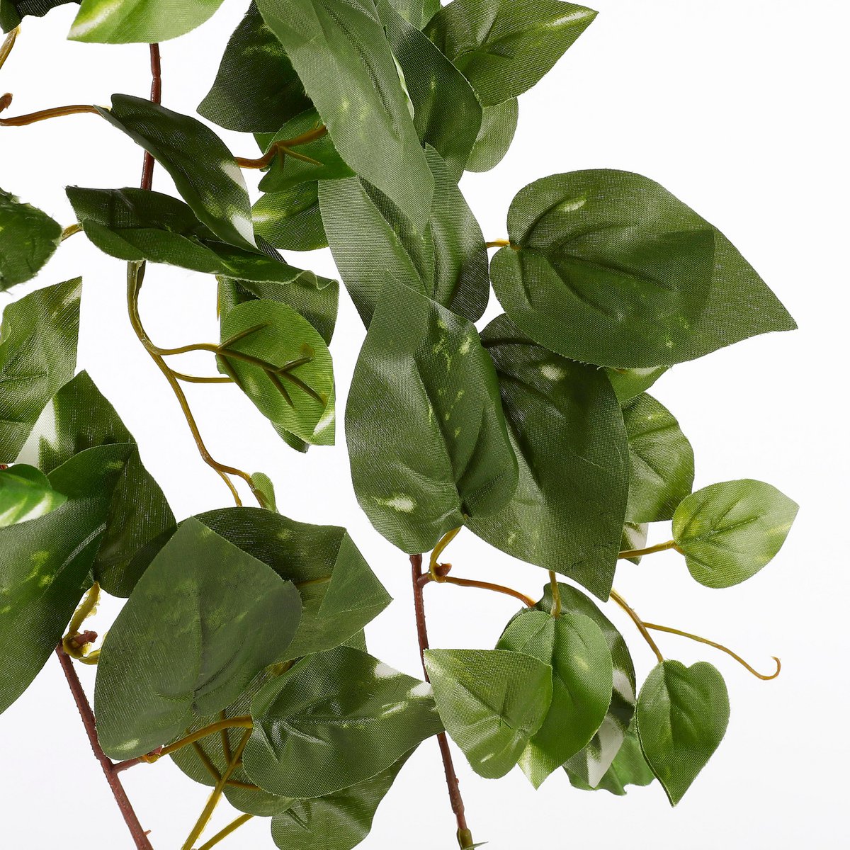 Glimmerdekorationen – Künstliche Hängepflanze Scindapsus – L15 x B30 x H80 cm – Grün