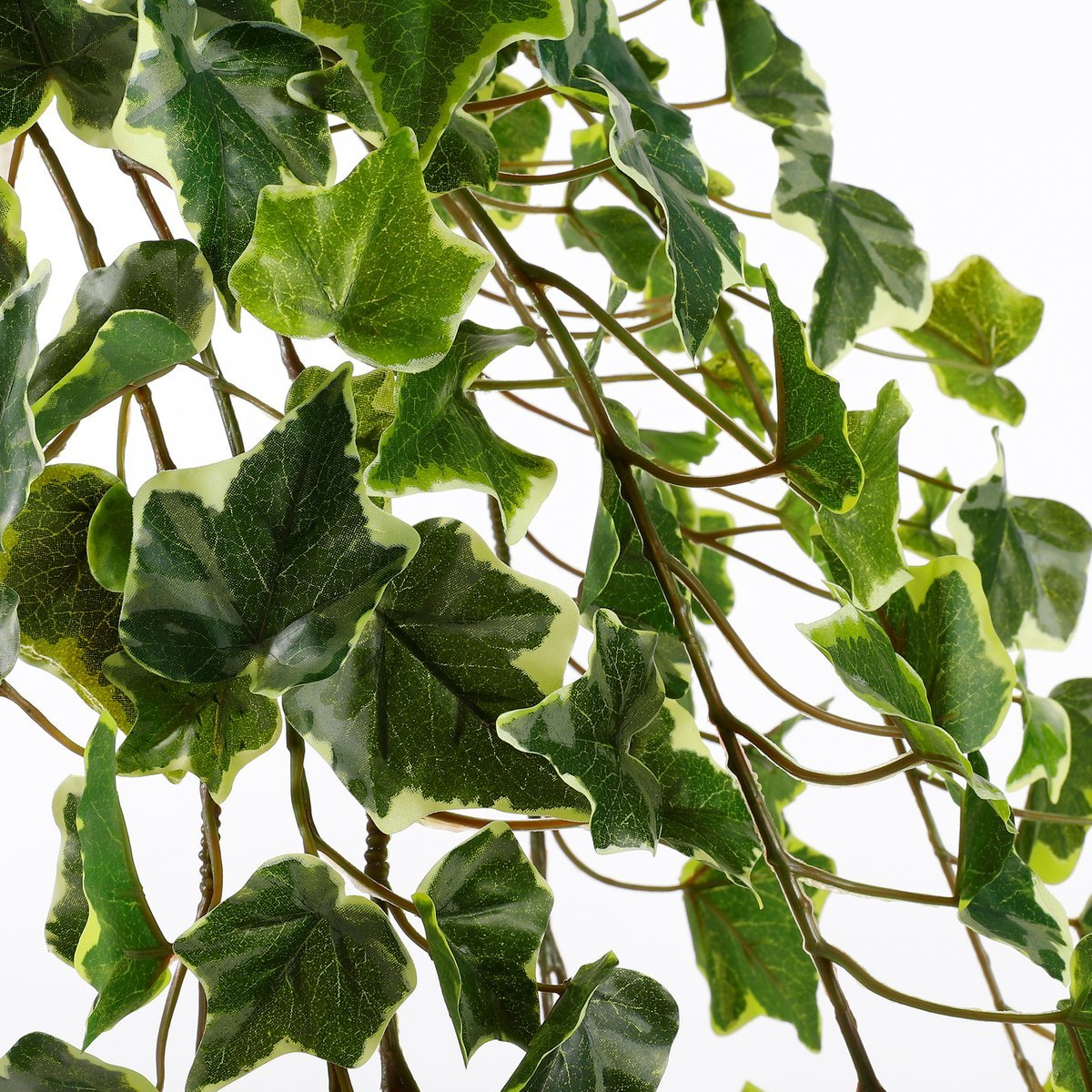 Mica Decorations - Hedera Kunst Hangplant - H129 cm - Groen Bont