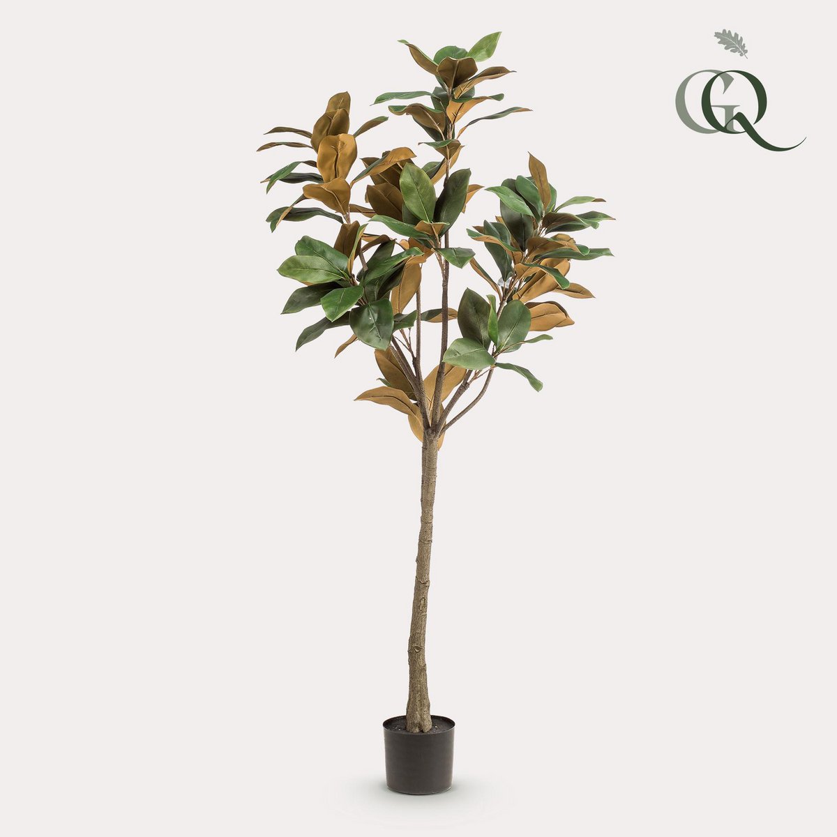 Green boutiQ - Kunstplant - Magnolia Grandiflora - 150 cm