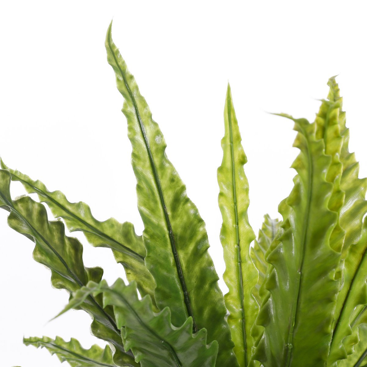 Glimmerdekorationen – Künstliche Asplenium-Pflanze im Blumentopf – H54 x Ø66 cm – Grün