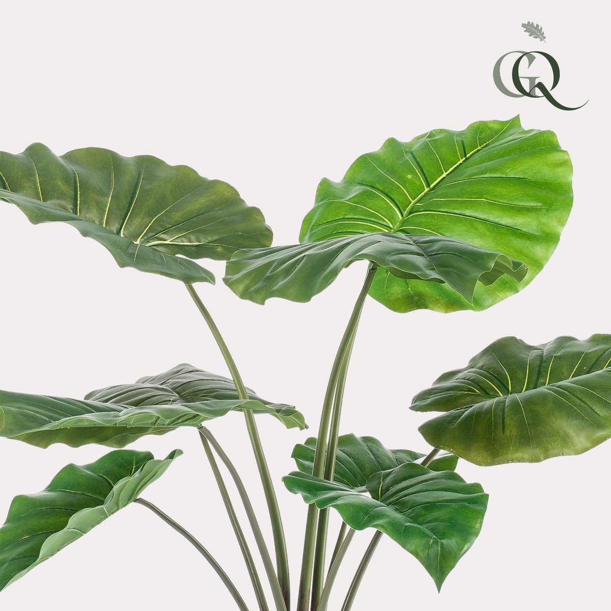 Green BoutiQ - Kunstplant - Alocasia - Olifantsoor - 70 cm