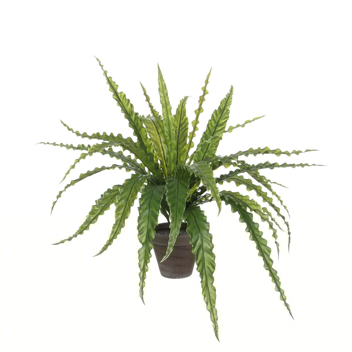 Glimmerdekorationen – Künstliche Asplenium-Pflanze im Blumentopf – H54 x Ø66 cm – Grün