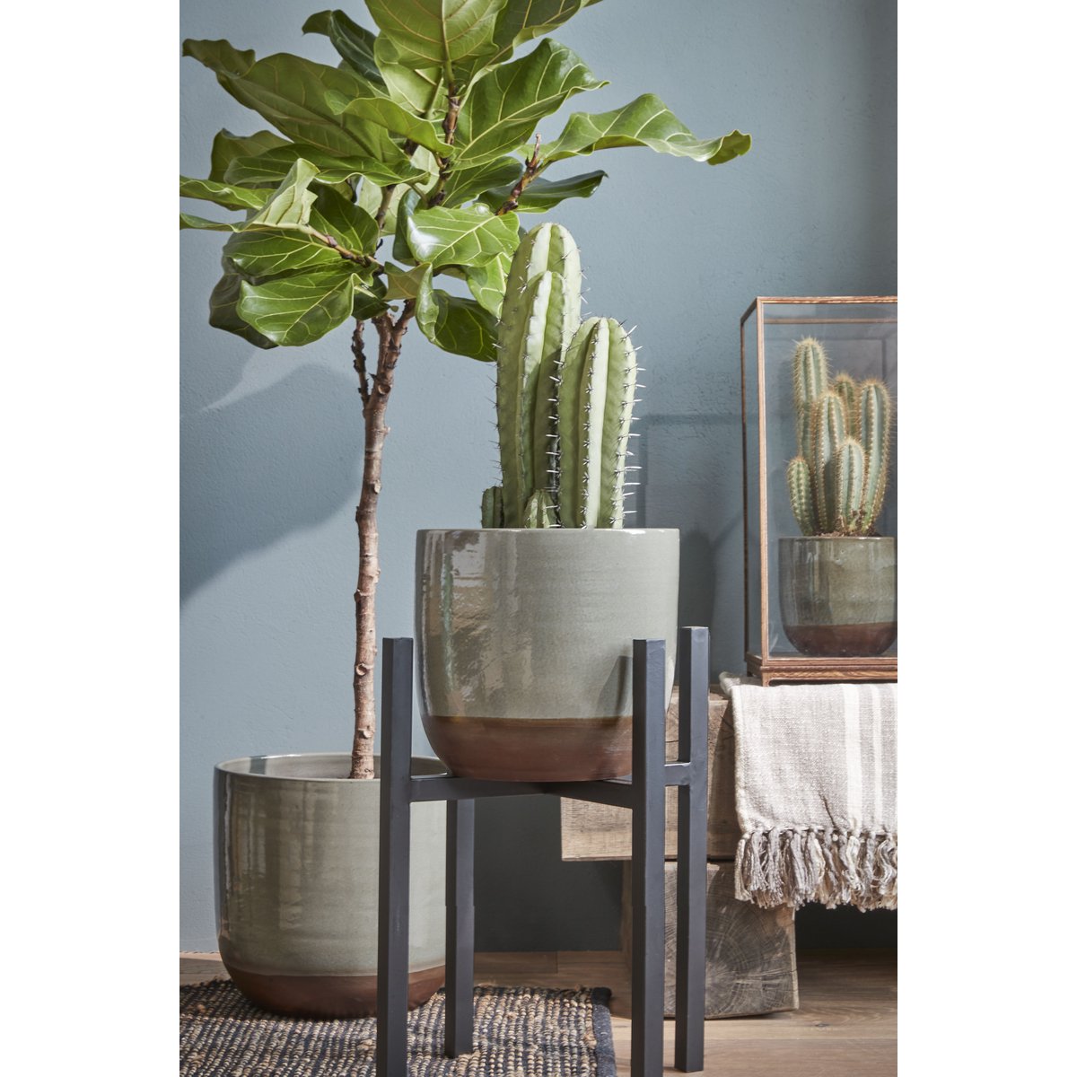 Mica Decorations - Ascot Plantenstandaard XL - L42 x B42 x H50 cm - Metaal - Zwart