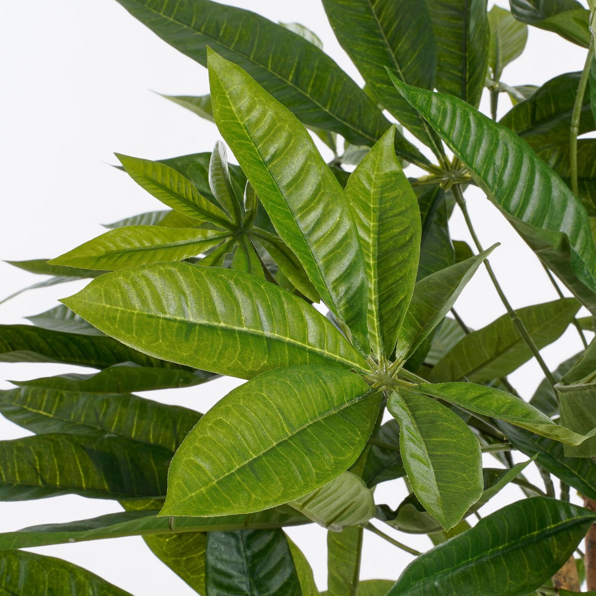 Mica Decorations - Pachira Kunstplant - H150 x Ø65 cm - Groen