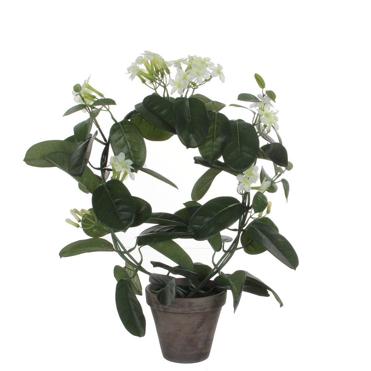 Glimmerdekorationen - Künstliche Pflanze Stephanotis im Blumentopf Stan - H50 x Ø40 cm - Weiß