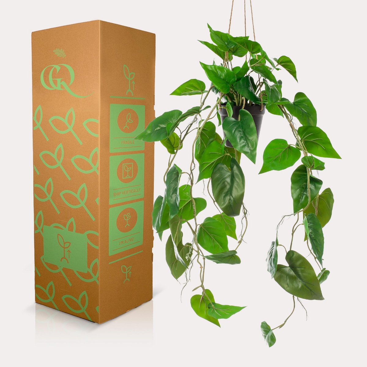 Green BoutiQ - Kunstplant - Philodendron scandens - Klimmende Boomliefhebber - 80 cm