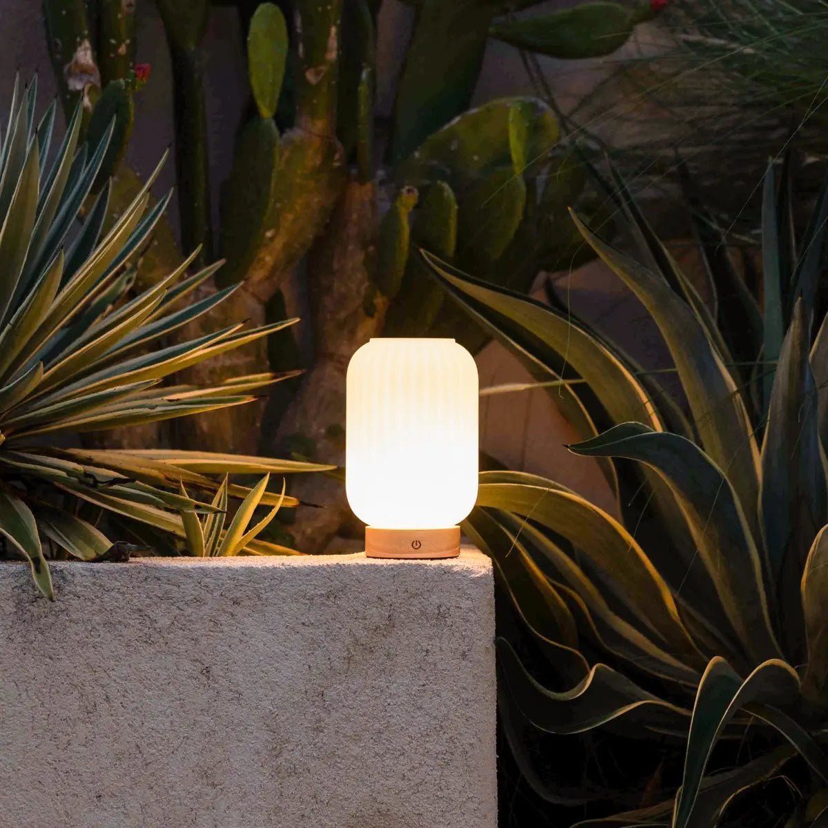 Tavellio-Amsterdam - Lilly – matglas en houten voet, dimbaar, 3 lichtmodi