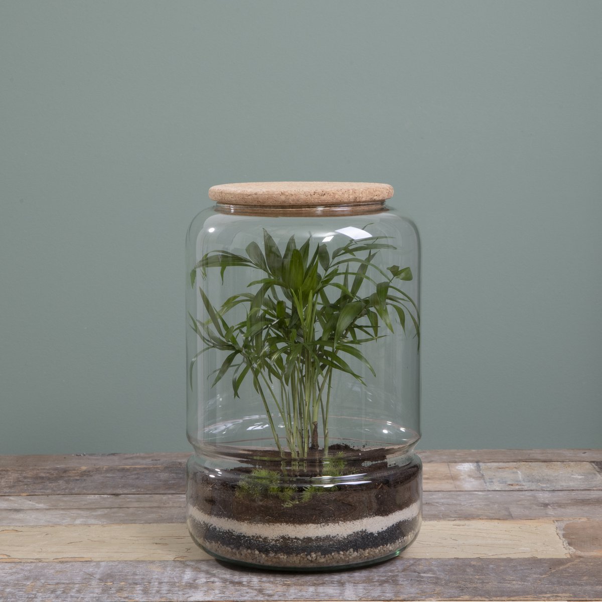 Glimmerdekorationen - Elements Terrarium - H28 x Ø19 cm - Glas