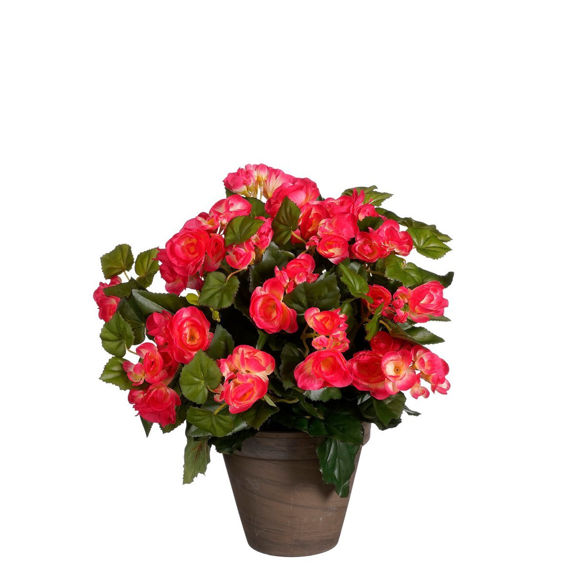 Glimmerdekorationen – Künstliche Begonie im Blumentopf – H37 x Ø36 cm – Dunkelrosa
