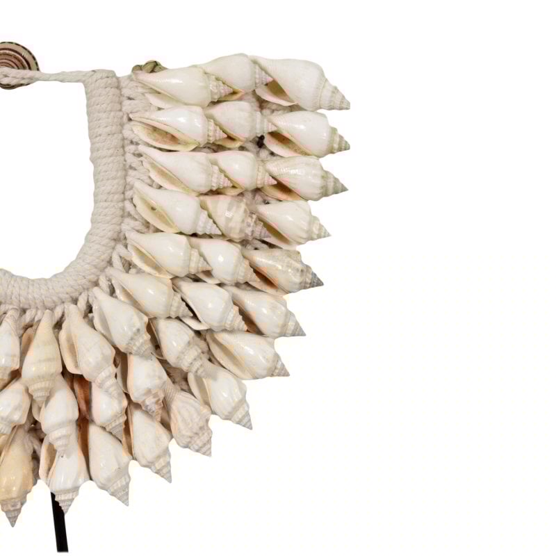 Pole to Pole - G7 kleine schelp ketting