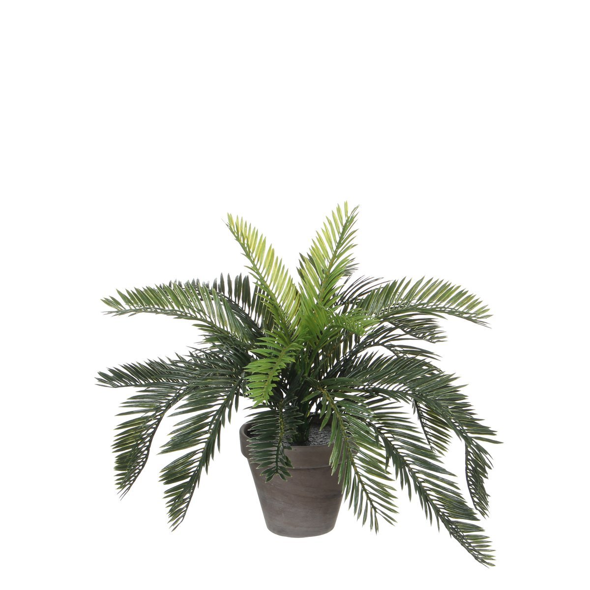 Glimmerdekorationen – Künstliche Cycas-Palme im Blumentopf – H37 x Ø44 cm – Grün