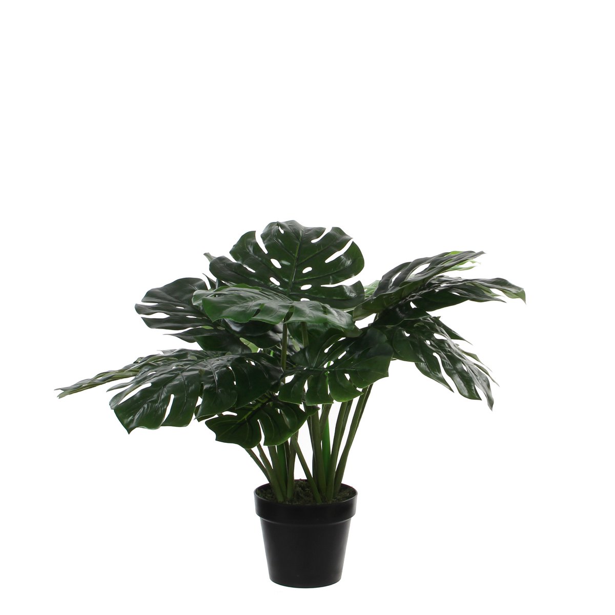 Glimmerdekorationen – Künstliche Pflanze Monstera – H60 x Ø80 cm – Grün