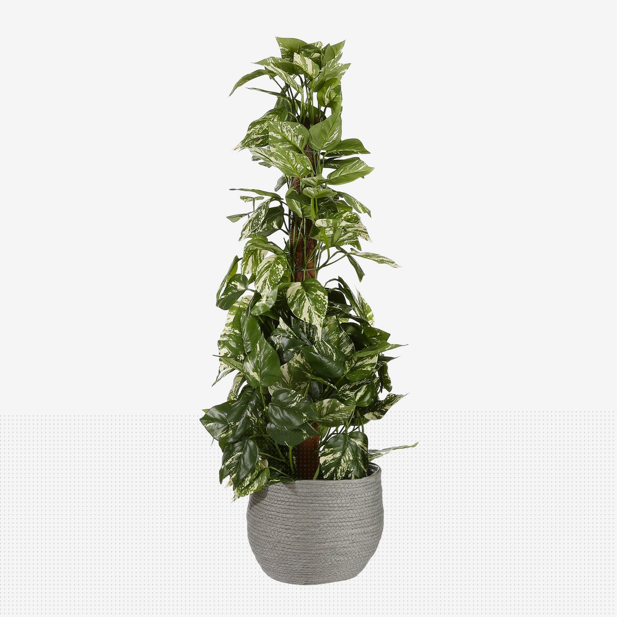 Mica Decorations - Jorck Plantenmand - Set van 3 - H24 x Ø26 cm - Papier - Grijs