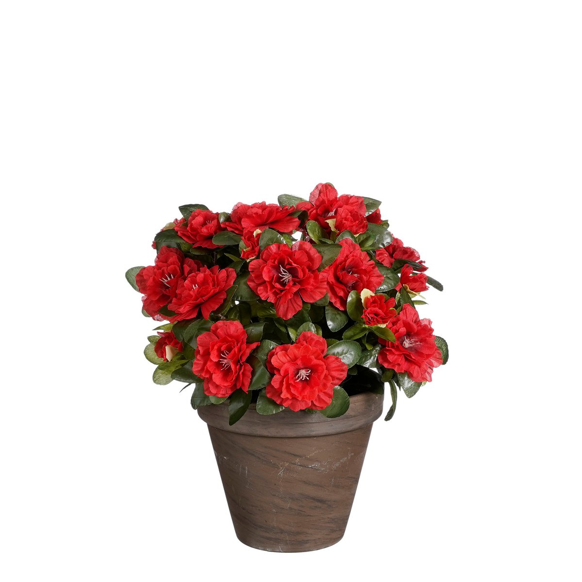 Glimmerdekorationen – Künstliche Azalee im Blumentopf – H31 x Ø26 cm – Rot