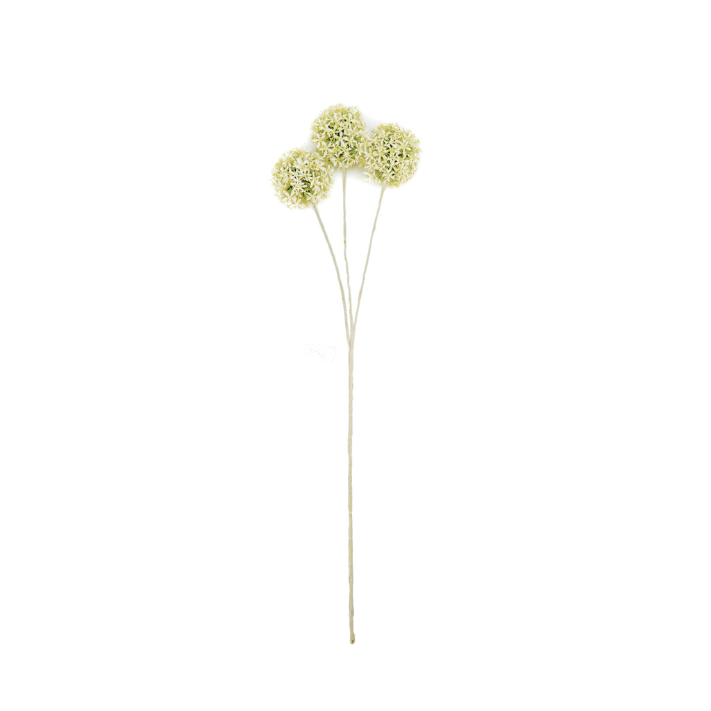 Housevitamin - Tak 'Allium' (Wit/Groen)