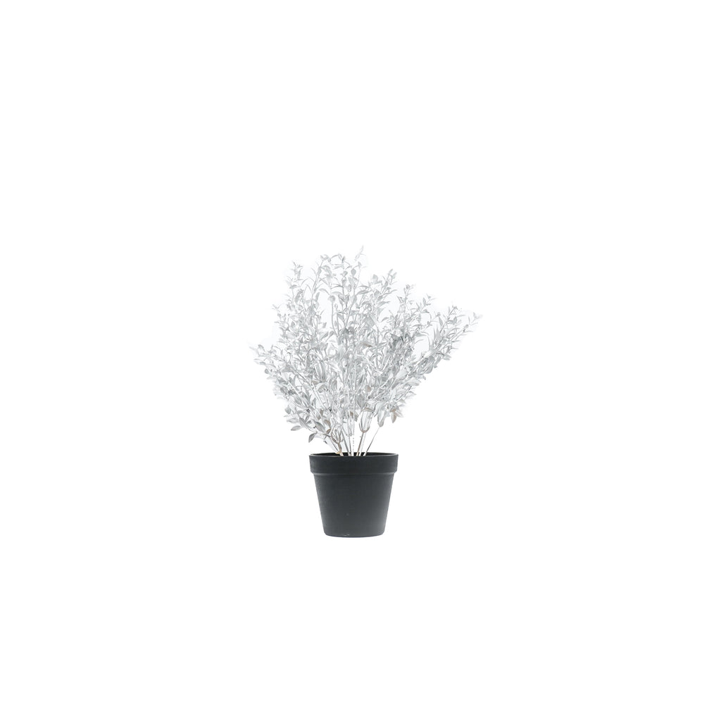 Housevitamin - Plant met zwarte pot 'Max' (Zilver, 45cm)