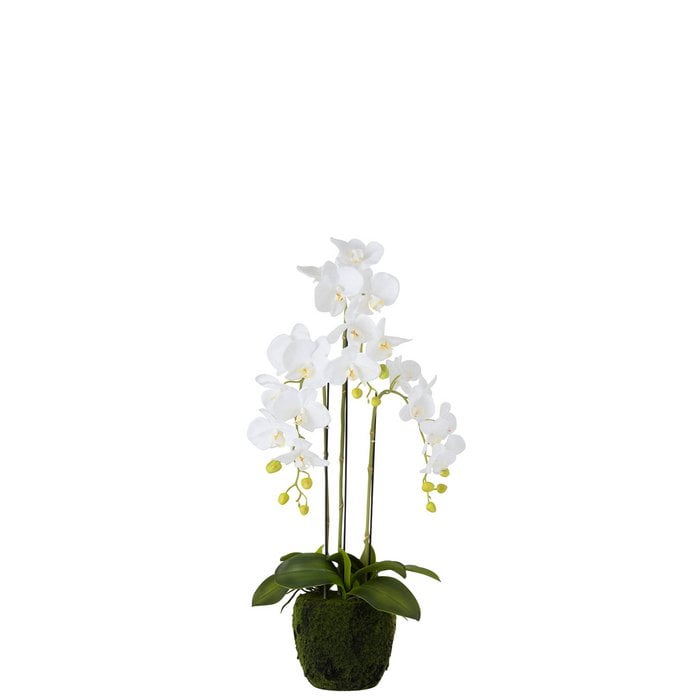J-Line - Kunstbloem 'Orchidee' (Wit, Medium)