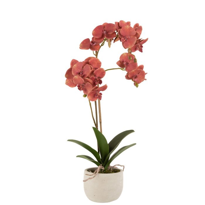 J-Line - Orchidee in pot 'Orchid' (Dieprood/Beige)
