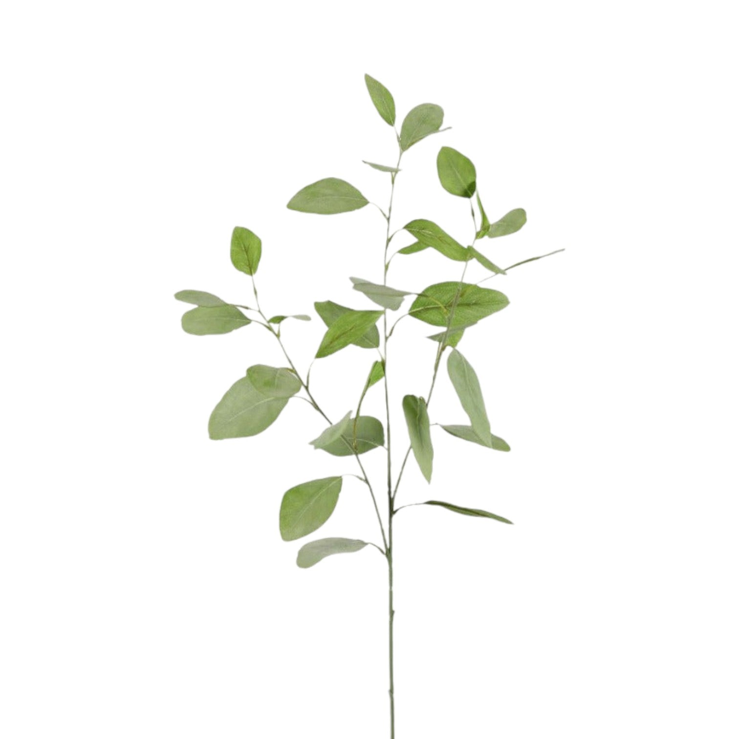 Colours and Green - Kunsttak 'Eucalyptus' - 82 centimeter