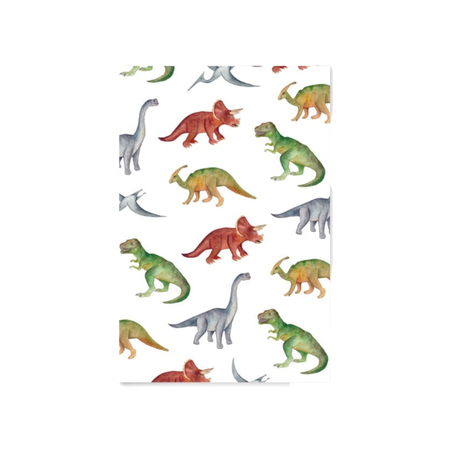 FRITSY - Kaart 'Dinosauriërs' - 5 stuks