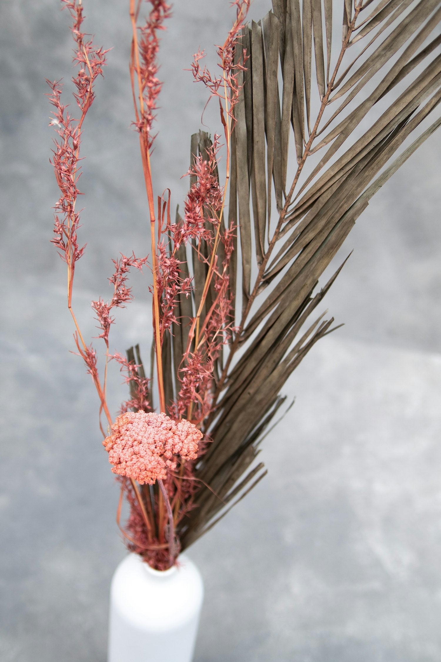 Couronne - Decoratief gedroogd gras 'Alpha' (Light pink)