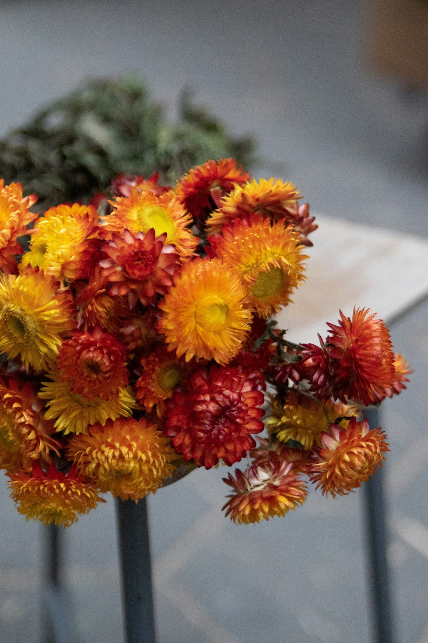 Couronne - Bundeltje gedroogde bloemen 'Helichrysum' (Orange)