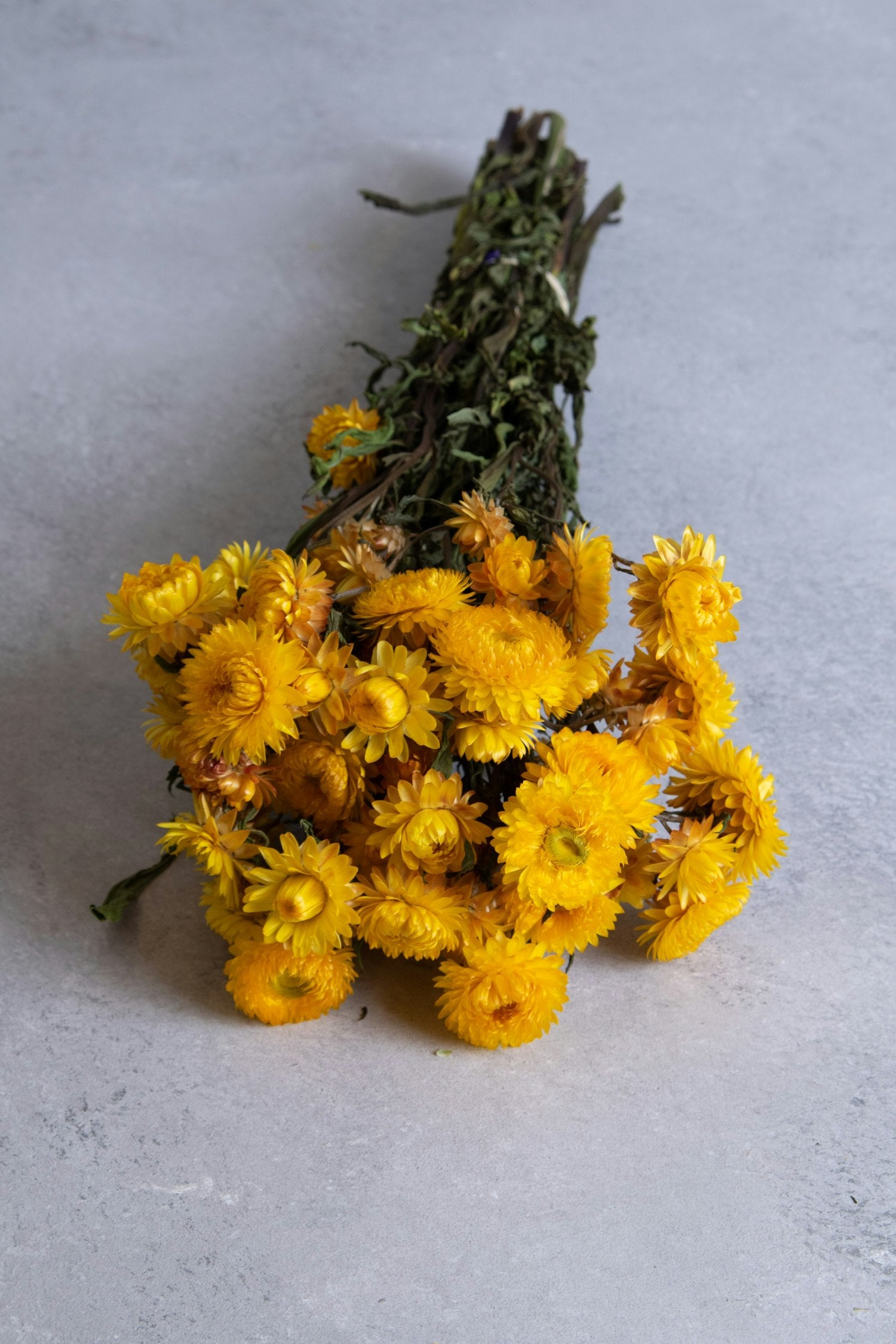Couronne - Bundeltje gedroogde bloemen 'Helichrysum' (Yellow)