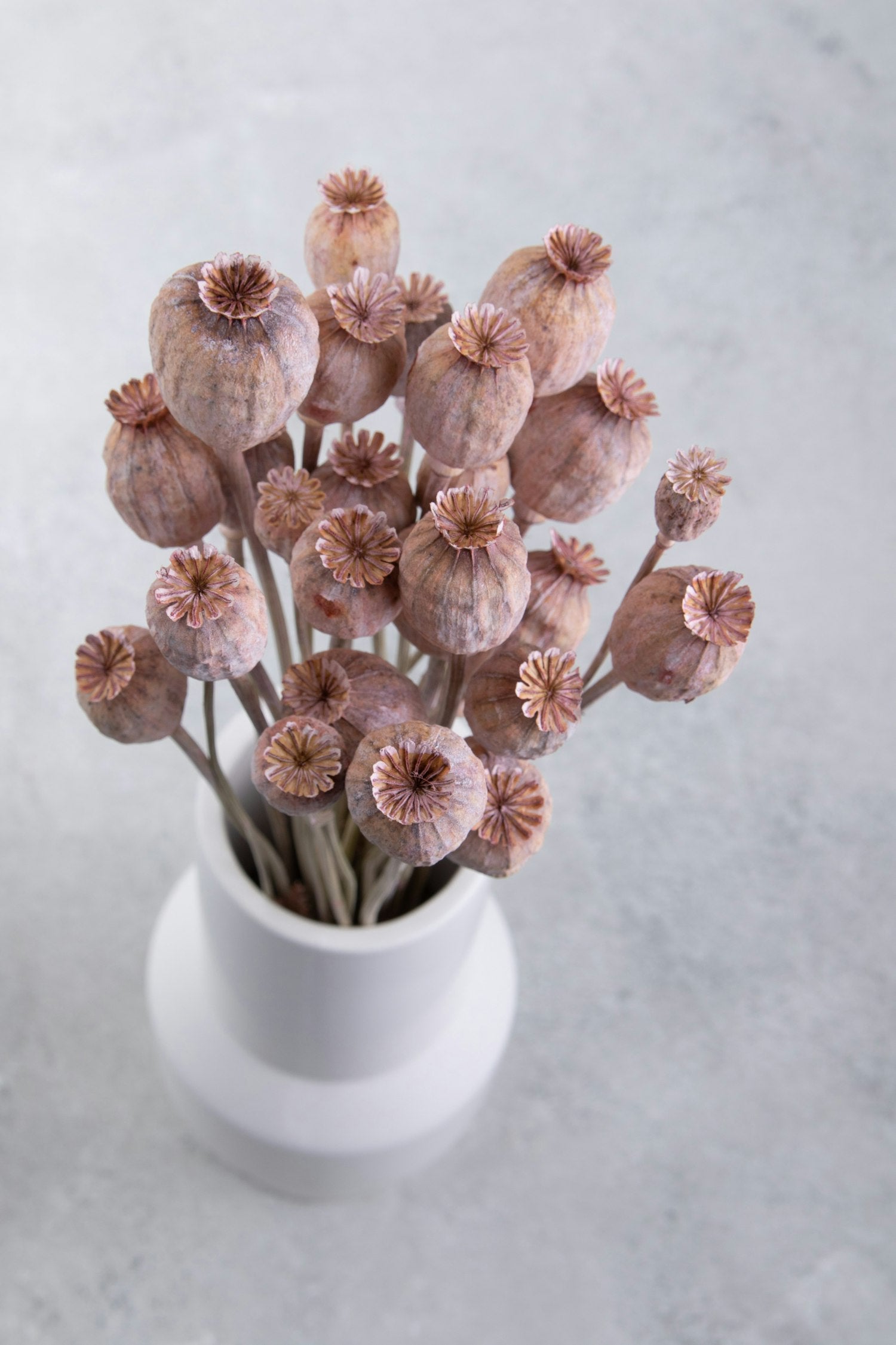 Couronne - Bundeltje gedroogde bloemen 'Papaver' (Pink)