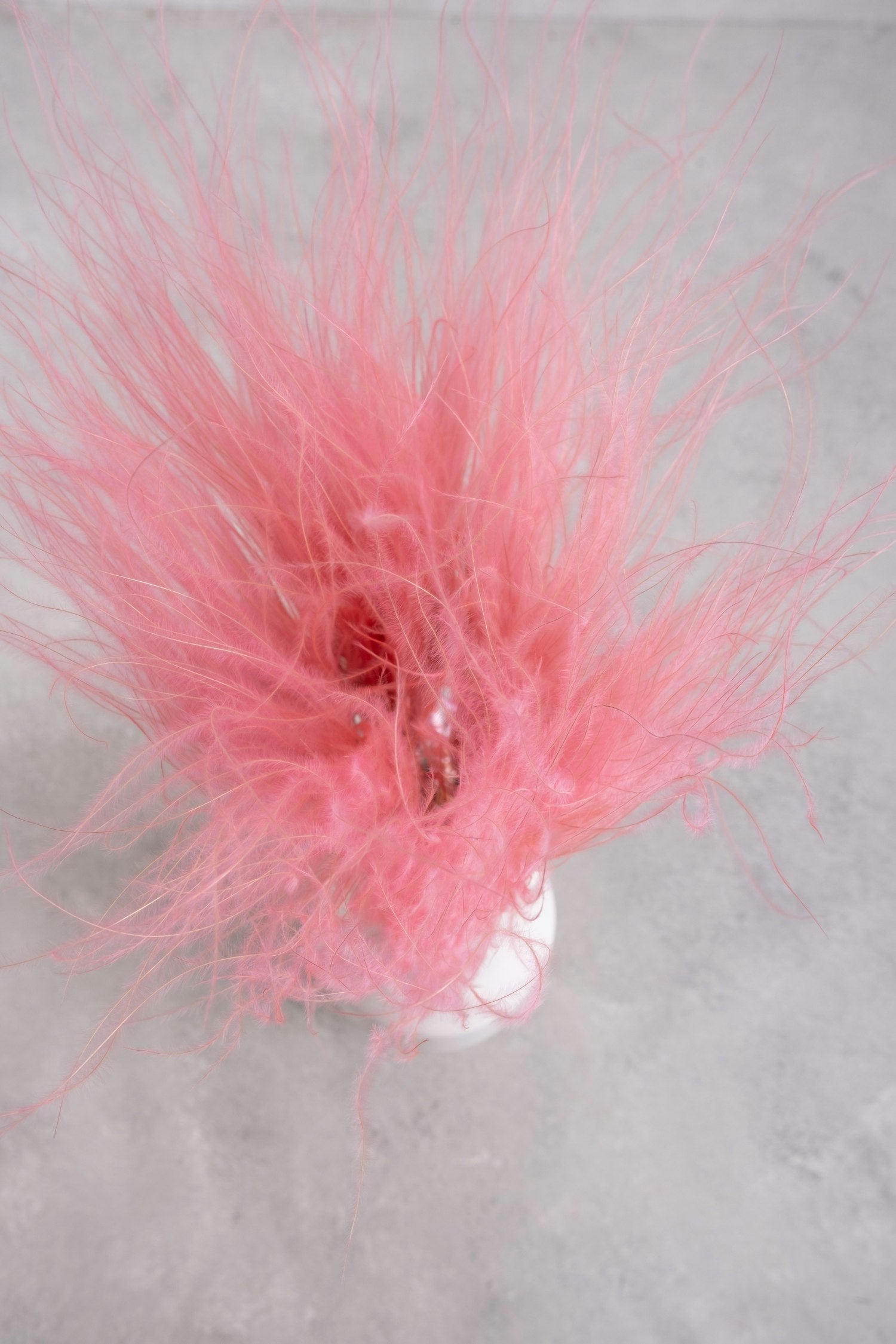 Couronne - Pampas pluim 'Stipa Pennata' (Pink)