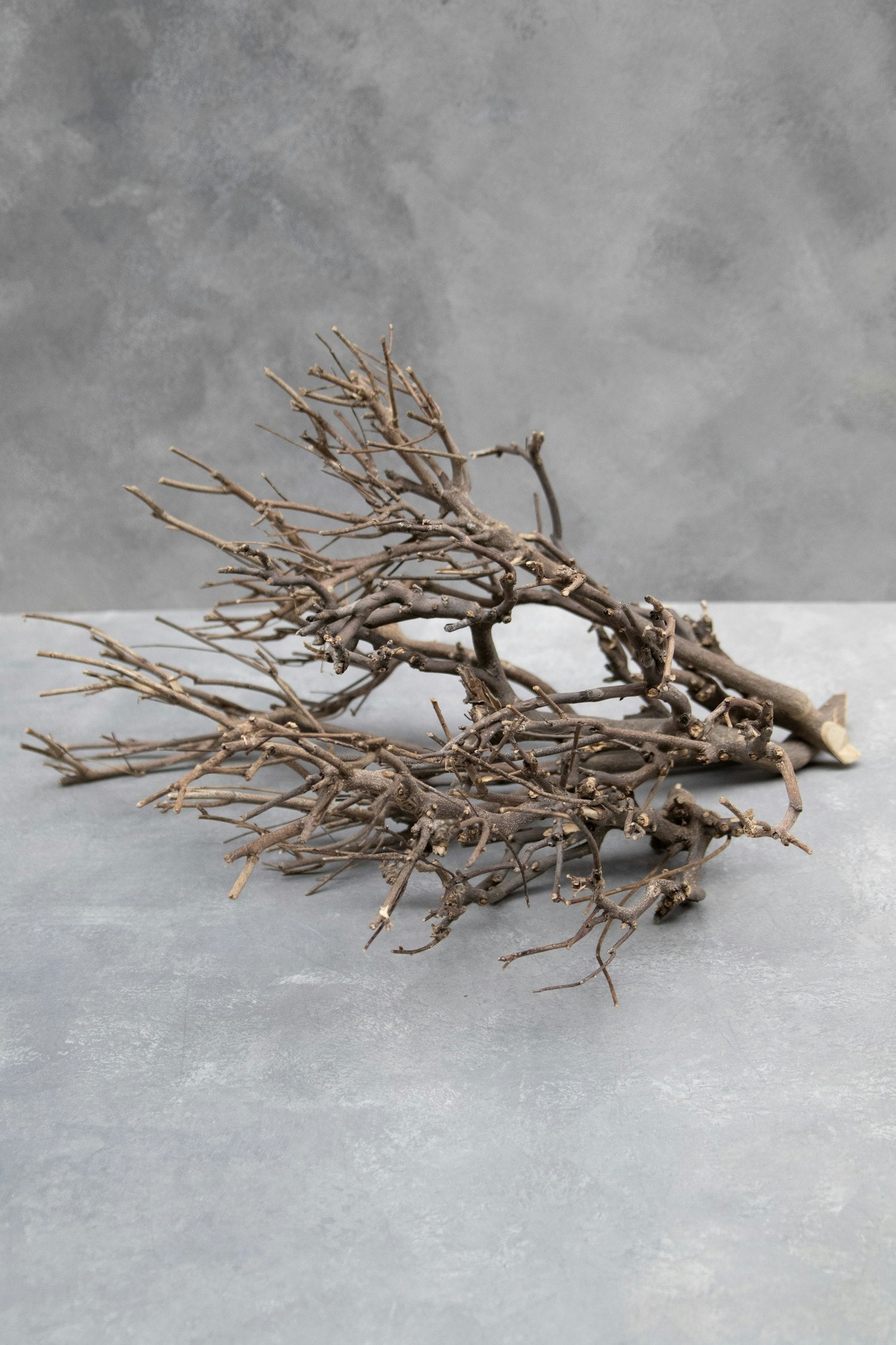 Couronne - Decoratieve takken 'Twig John' (Natural)