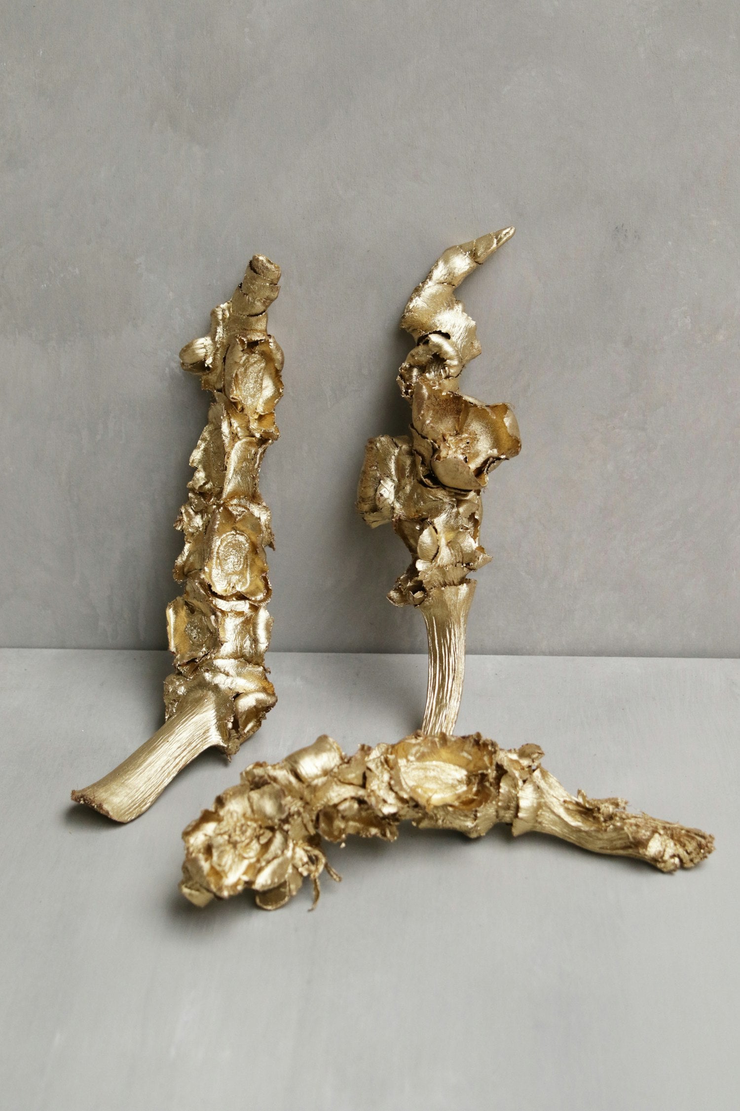 Couronne - Decoratief palm blad 'Palm Female' (Gold)