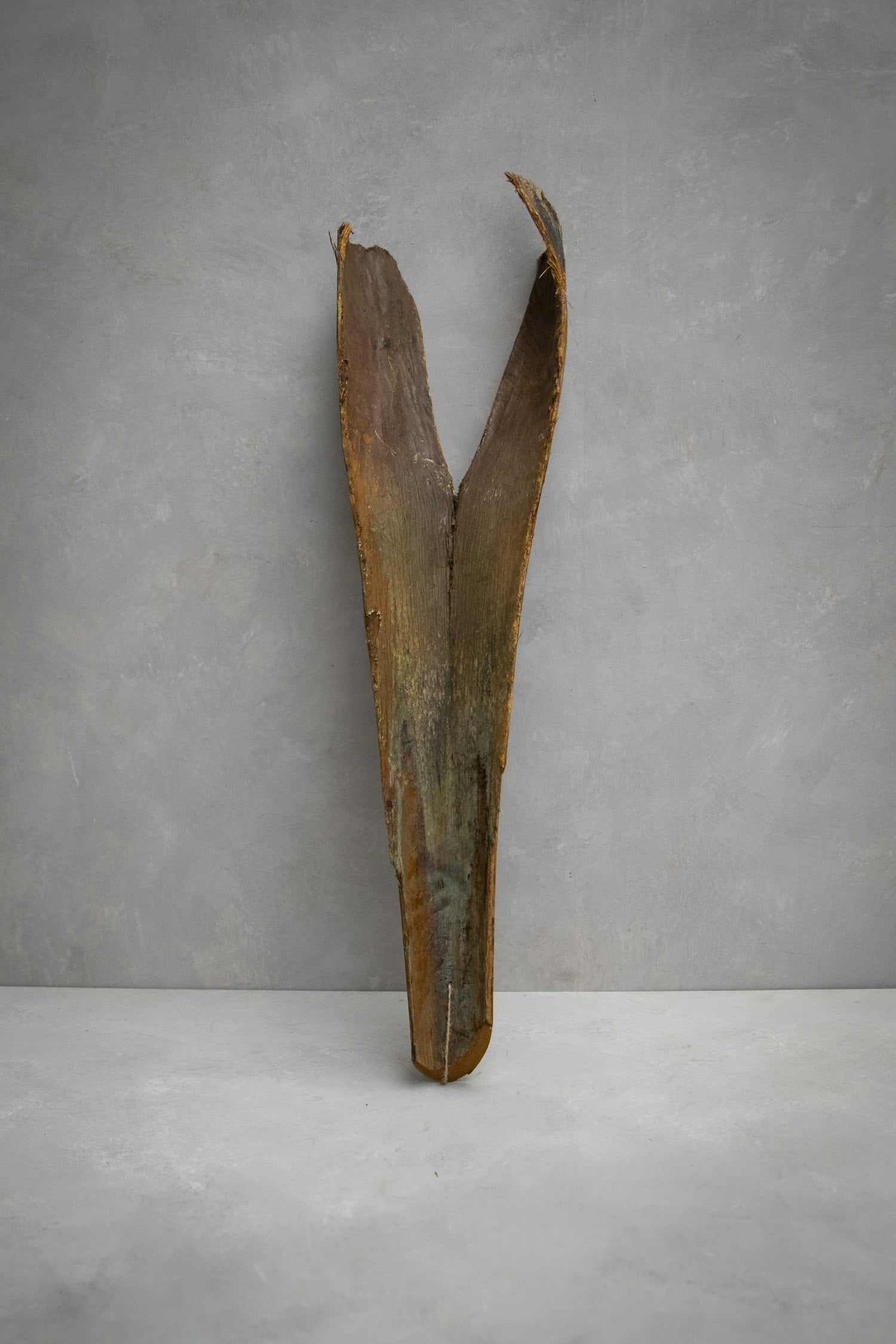 Couronne - Decoratief palm blad 'Palm Sing Head' (Warm natural)