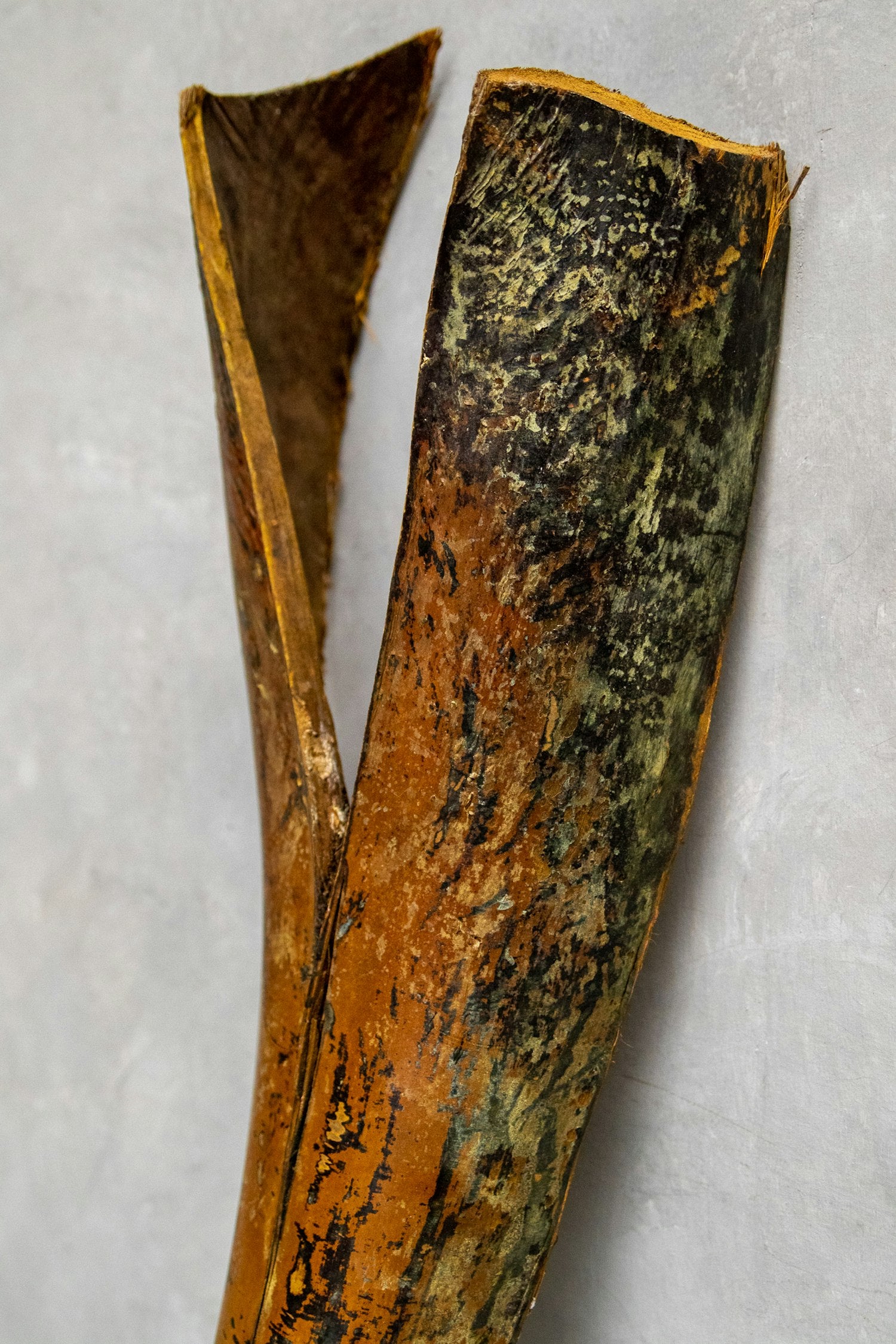 Couronne - Decoratief palm blad 'Palm Sing Head' (Warm natural)