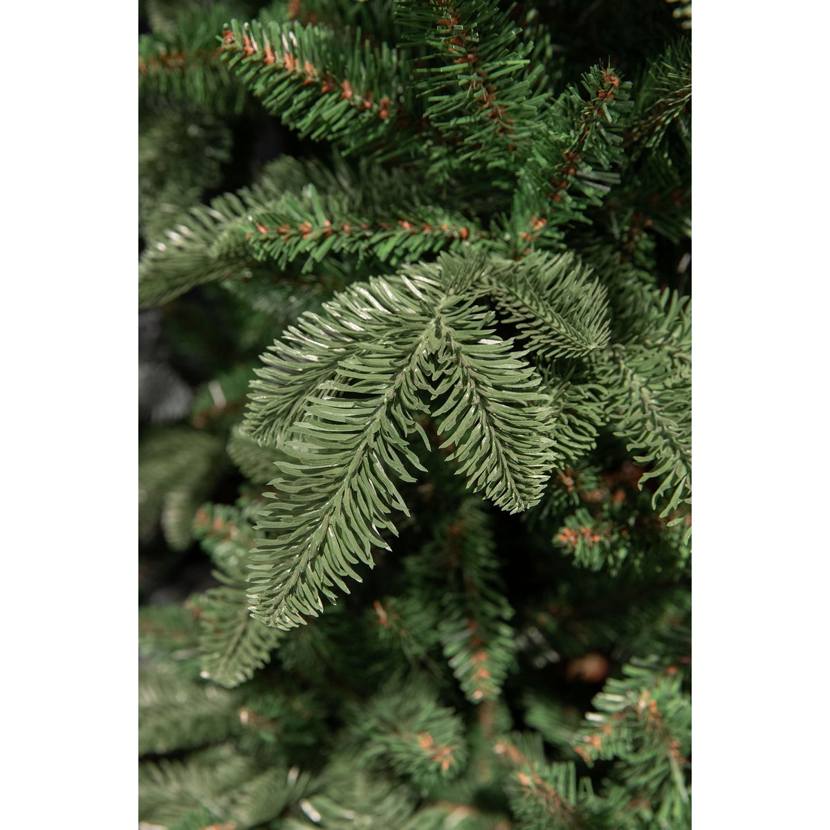 Maison d'Abri® - Guirlande Abies Nordmann - L180 cm - Vert