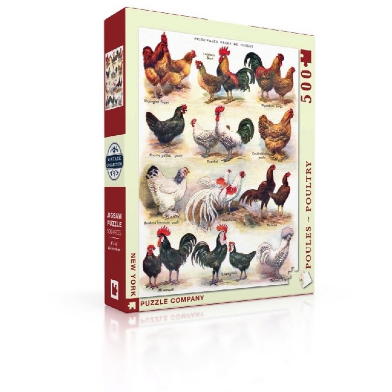 New York Puzzle Company - Puzzle 'Poules ~ Volaille' (500 pièces)