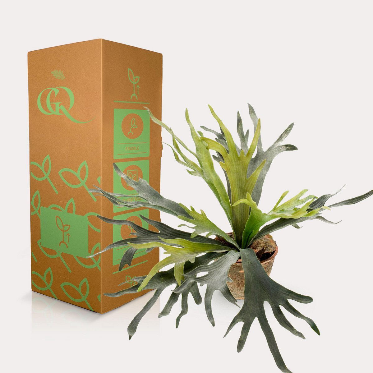 Green BoutiQ - Kunstplant - Staghorn Fern - Hertshoorn - 50 cm