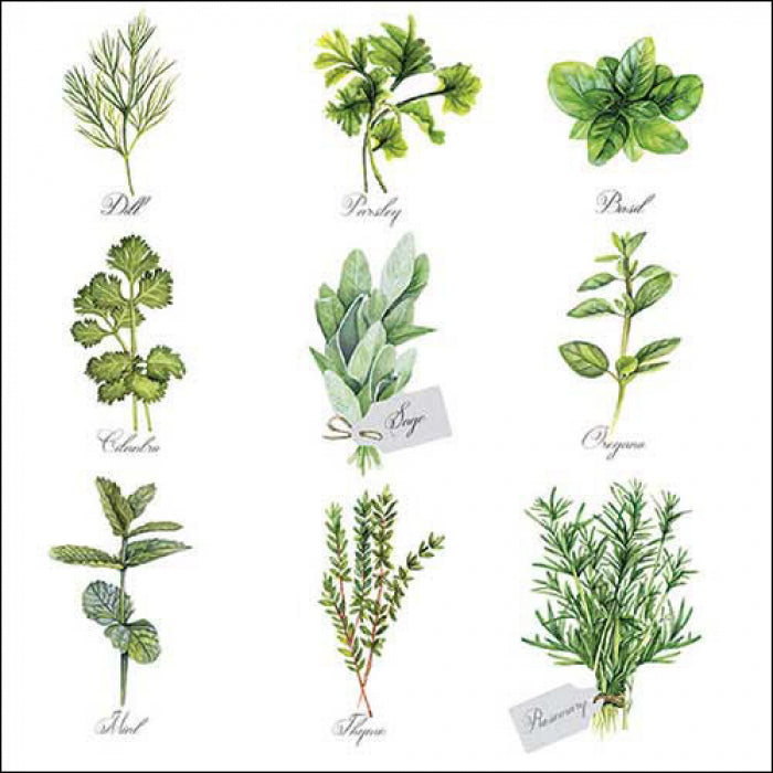 Ambiente - Servetten 'Herb Selection' (20 stuks)