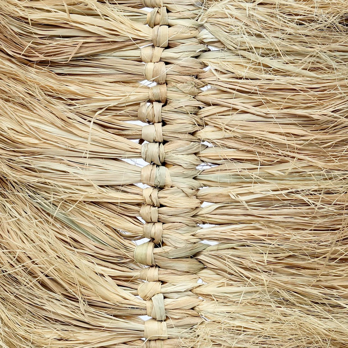 Bazar Bizar - Pampasdekoration 'Raffia Palmeira' (Natur)